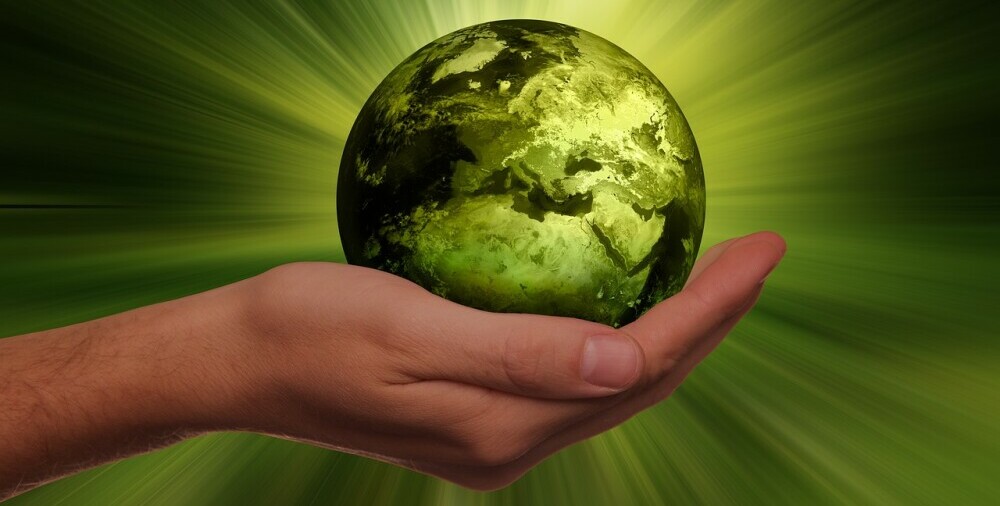 a green Earth in the palm of a hand indicating sustainability